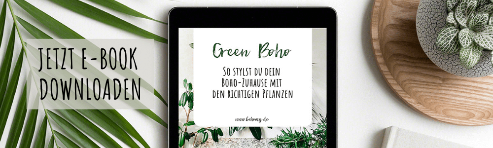 Green Boho - die richtigen Pflanzen für deine Boho Deko